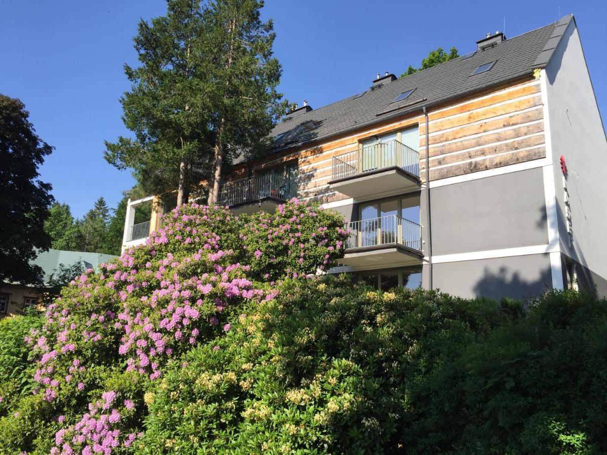 Apartament Grafitowy Willa Laser Szklarska Poręba Exterior foto